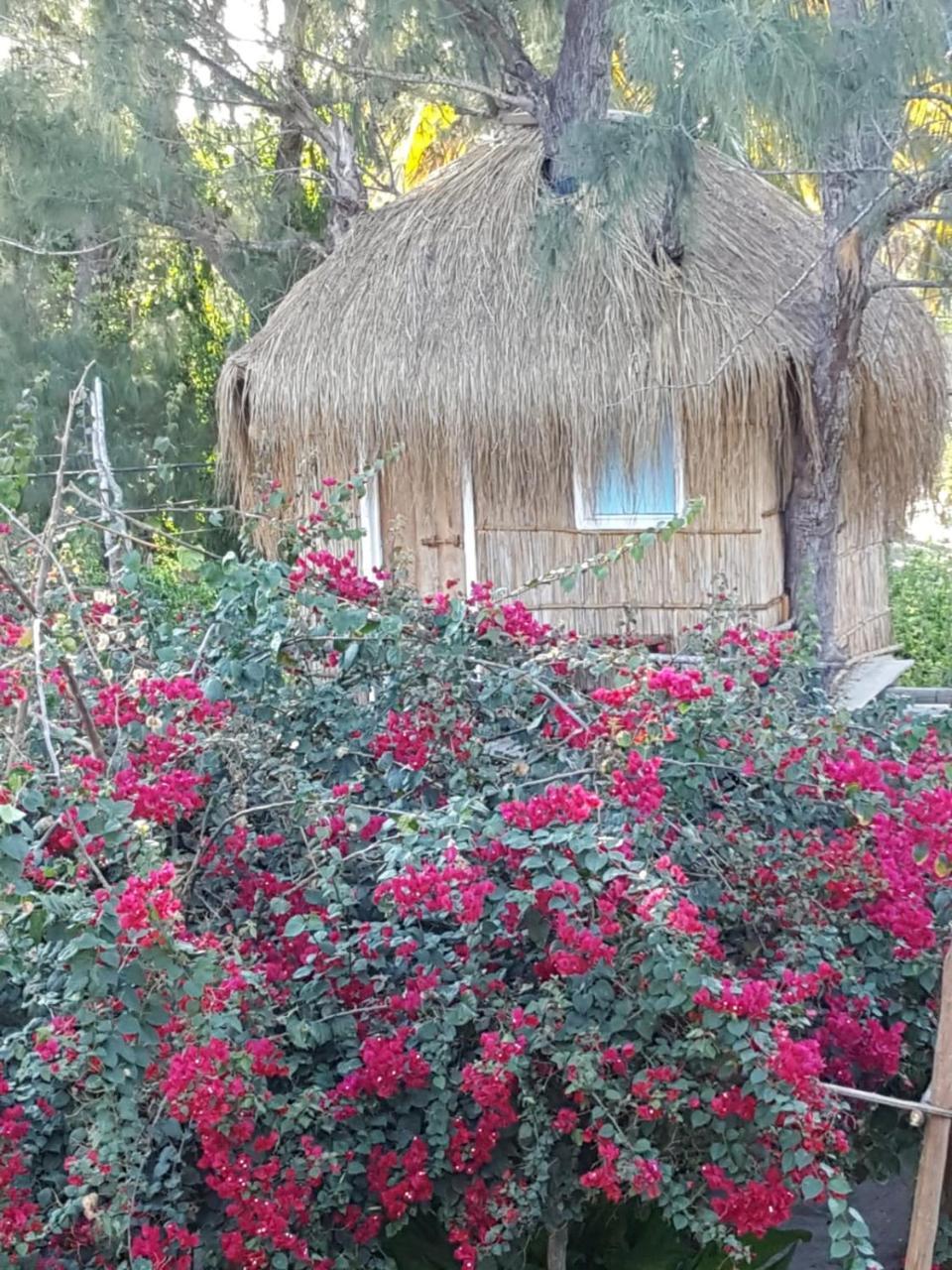 Baraka Beach Vilanculos Dış mekan fotoğraf