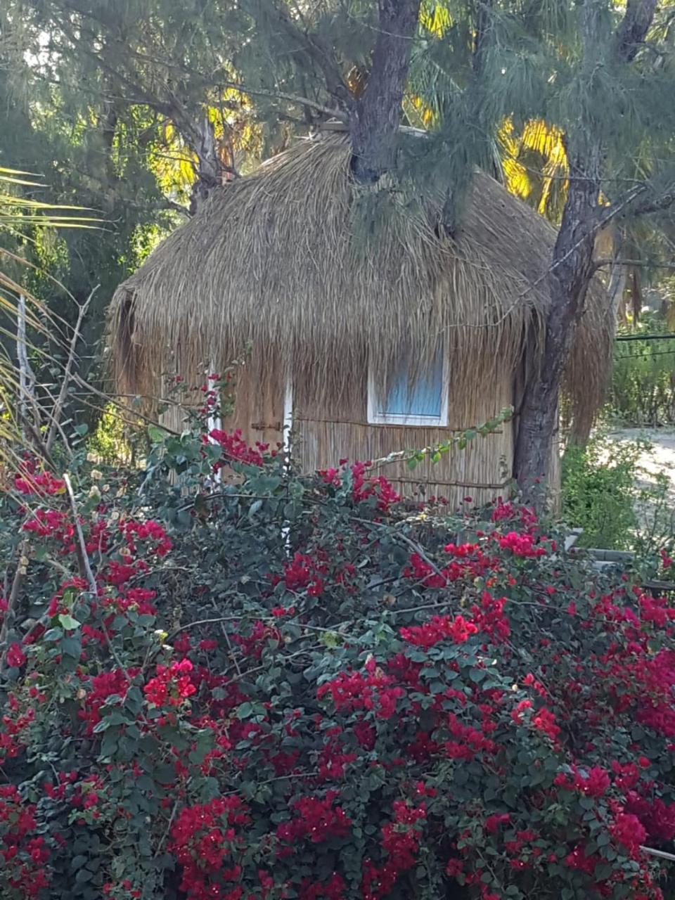 Baraka Beach Vilanculos Dış mekan fotoğraf